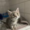 Photo of Minnie
