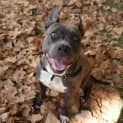 Photo of Xena