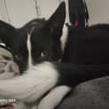 Photo of Gus