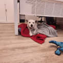 Photo of Zeus