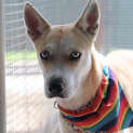Photo of Maggie