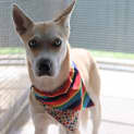 Photo of Maggie