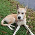 Photo of Maggie
