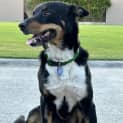 Photo of Reuben