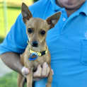 Photo of Sugar