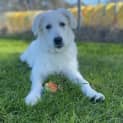 Photo of Winnie
