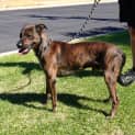Photo of Widget