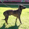 Photo of Widget