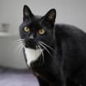 Photo of Cecil