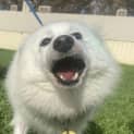 Photo of Bonnie