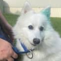 Photo of Bonnie