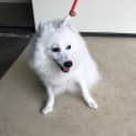 Photo of Bonnie