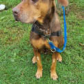 Photo of Winnie