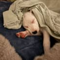 Photo of Jelly Beanz