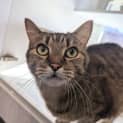 Photo of Tycho