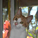 Photo of Elijah