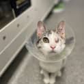 Photo of Francine