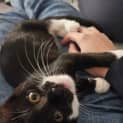 Photo of Sesame