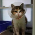 Photo of Kiki
