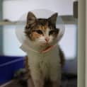 Photo of Kiki