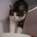 Photo of Eloise