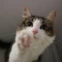 Photo of Eloise
