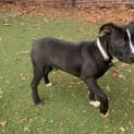 Photo of Tiny Tito