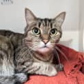 Photo of Tycho