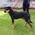 Photo of Aston