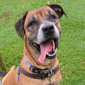 Photo of Ruby