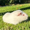 Photo of Bounty