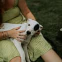 Photo of Dotti