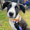 Photo of Dorothy