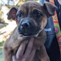 Photo of Pablo