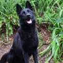Photo of Vader