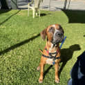 Photo of Snuffy