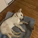 Photo of Charlie