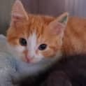 Photo of Albert