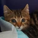 Photo of Candy