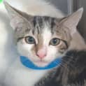 Photo of Rocket