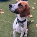 Photo of Waldo