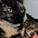 Photo of Imogen Located In Westmeadows