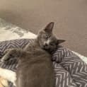 Photo of Storm