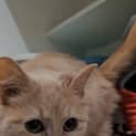 Photo of Wimpy