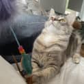 Photo of Marge