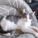 Photo of Gabriel