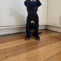 Photo of Sugar