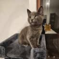 Photo of Storm