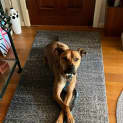 Photo of Marty