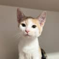 Photo of Ginny